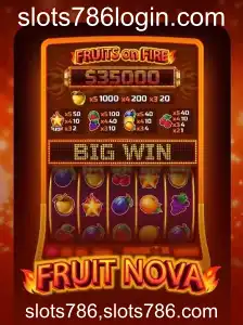 Descubra o Fascinante Jogo de Slots FruitNova
